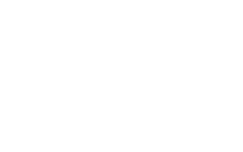 AEO Logo